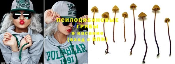 метадон Ладушкин