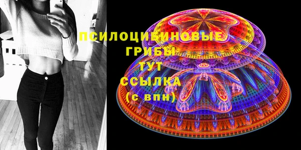 apvp Лабытнанги