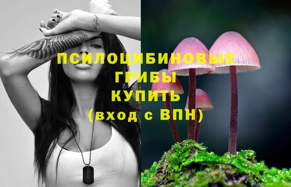 метадон Ладушкин