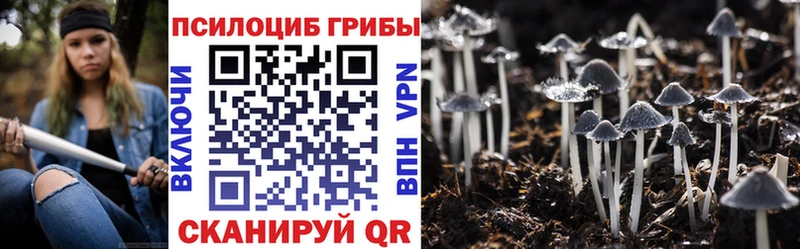 МЕГА   что такое   Черногорск  Галлюциногенные грибы GOLDEN TEACHER 