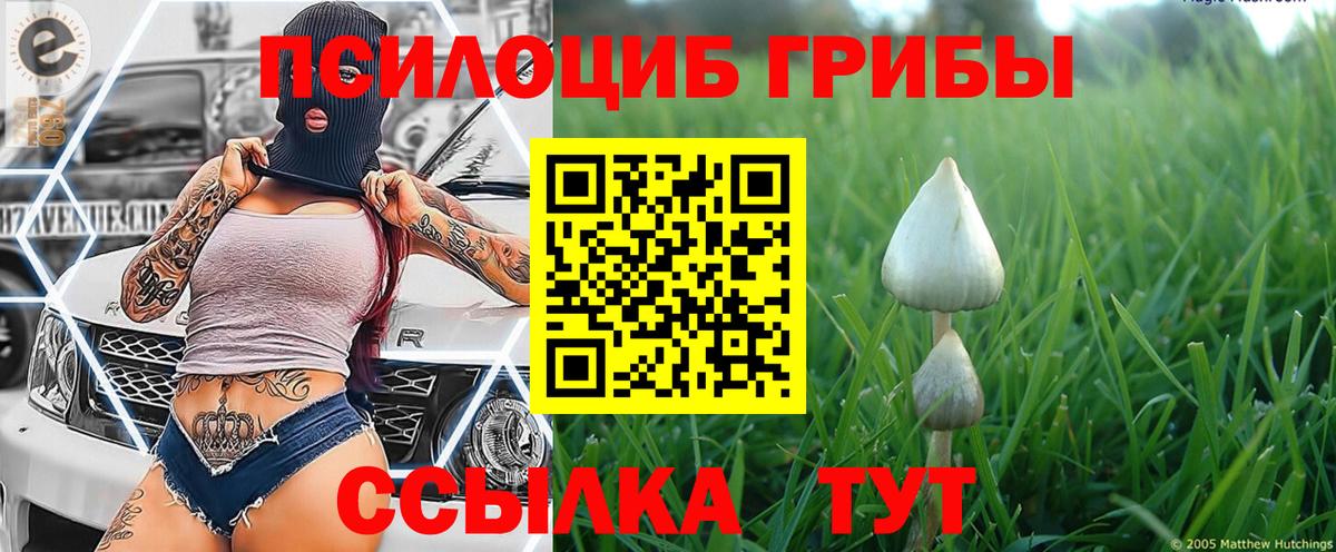 Черногорск  Галлюциногенные грибы ЛСД  Вход с VPN  Псилоцибиновые грибы Magic Shrooms 